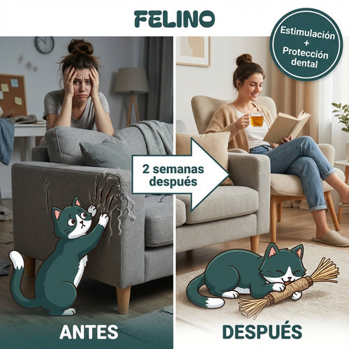 Paquete de silvervine para cuidado dental