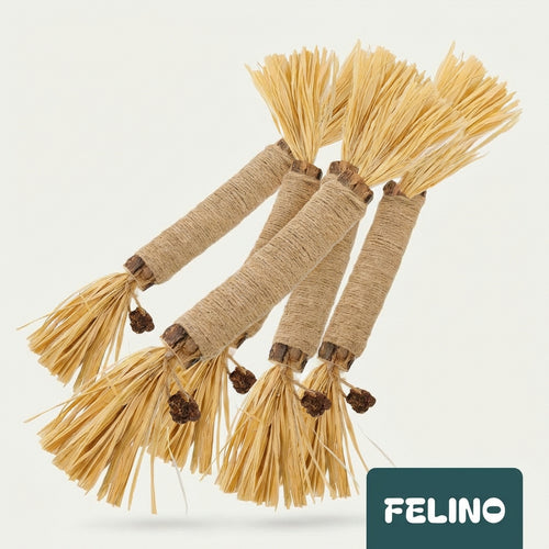 Paquete de silvervine para cuidado dental