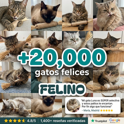 Paquete de silvervine para cuidado dental