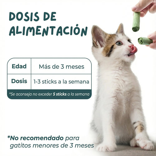 Palo de hierba gatera para morder