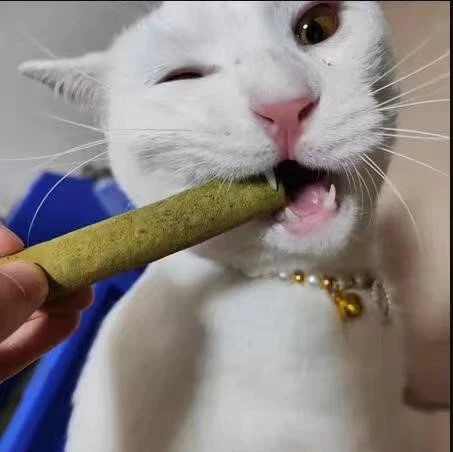 Review by María Fernanda López