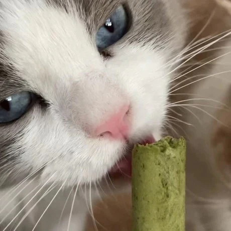 Review by Elena Morales