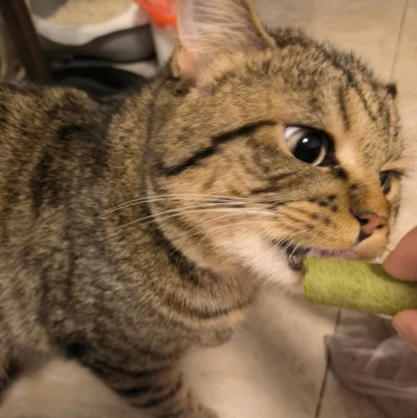 Review by Andrea Gómez