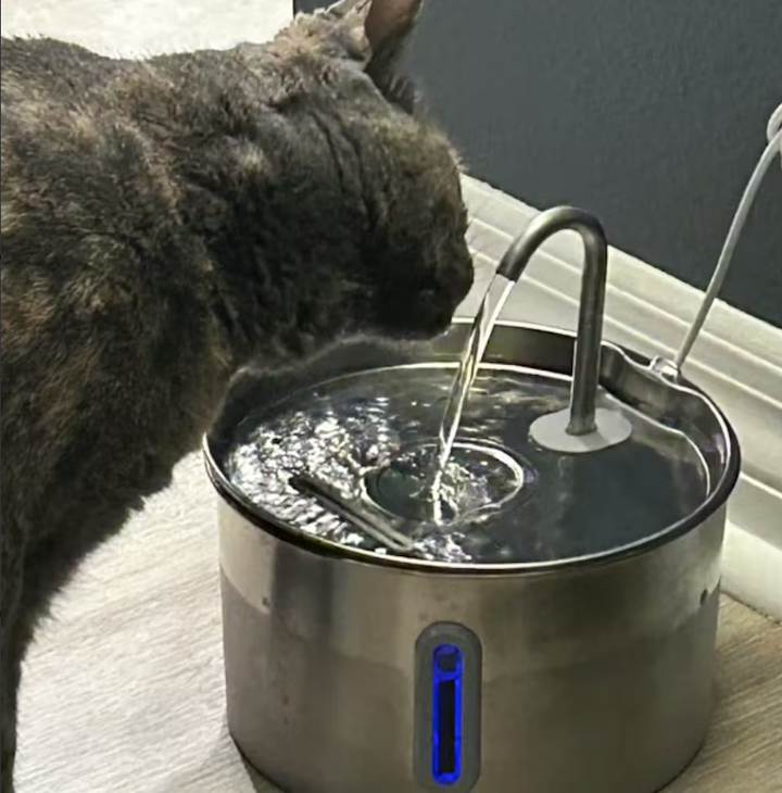 Review by Gabriela Vega