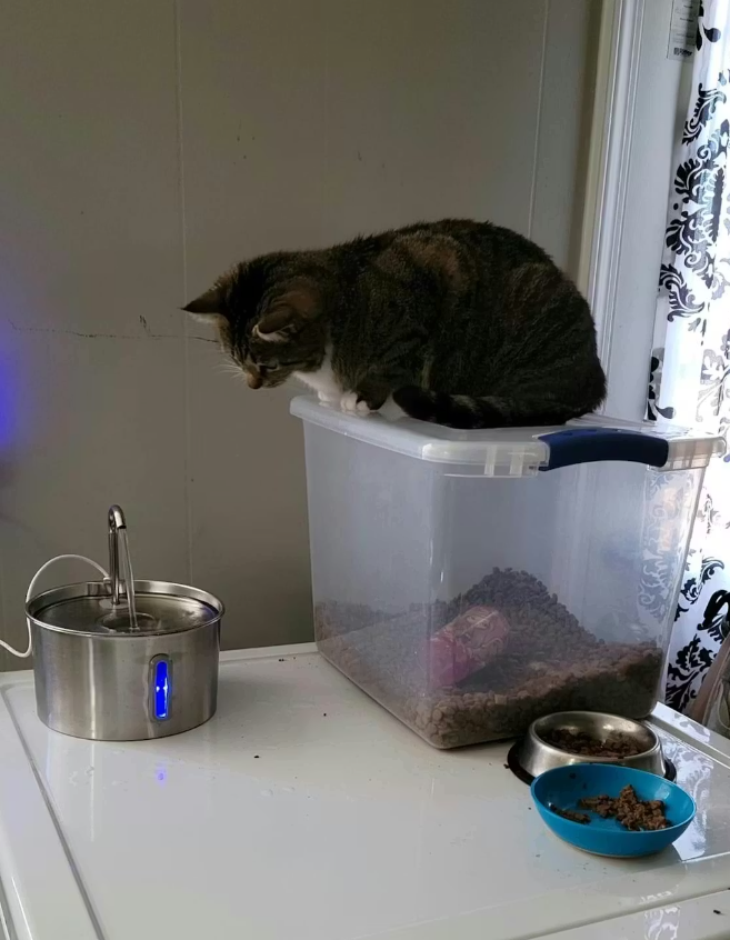 Review by Miguel Ángel Cruz