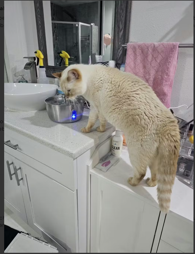 Review by Alejandra Morales