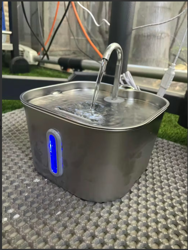 Review by Daniela Torres