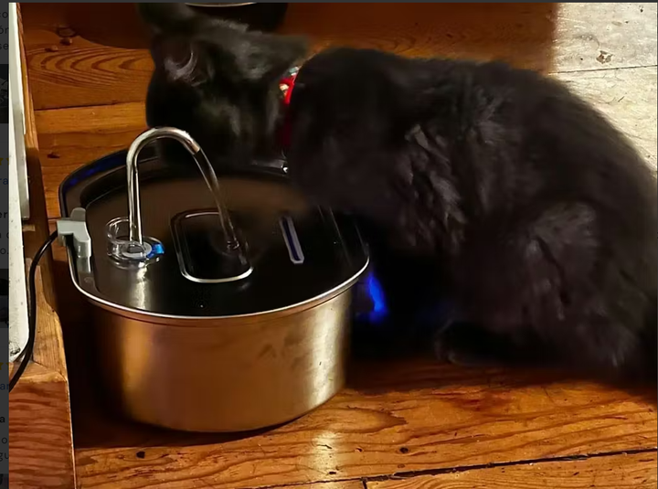 Review by Jorge Sánchez