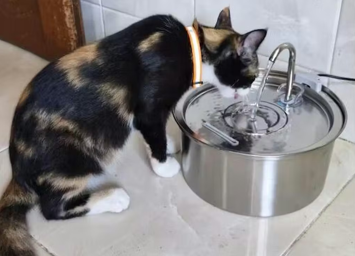 Review by Lucía Herrera