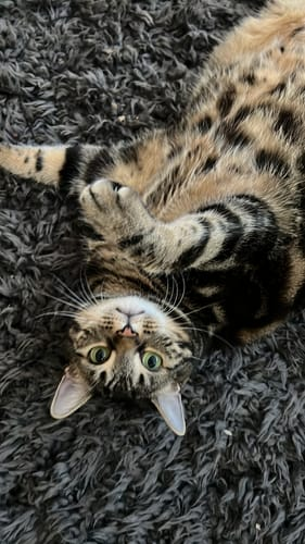 Review by Alejandra López