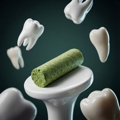 Palo de hierba gatera para morder