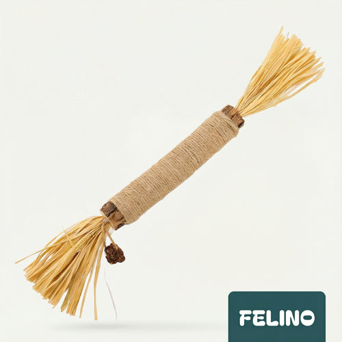 Palo de cuidado dental silvervine