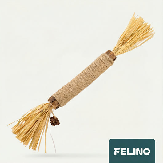 Palo de cuidado dental silvervine