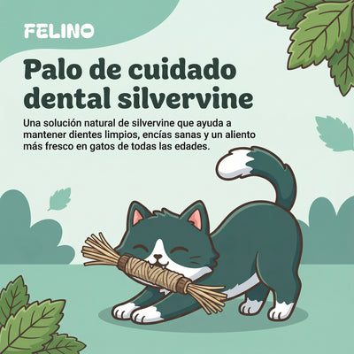 Palo de cuidado dental silvervine