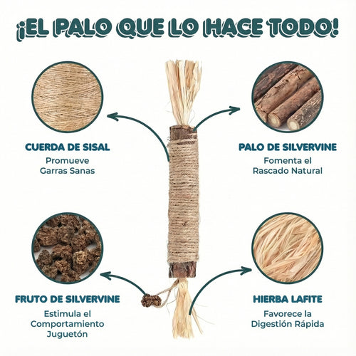 Palo de cuidado dental silvervine