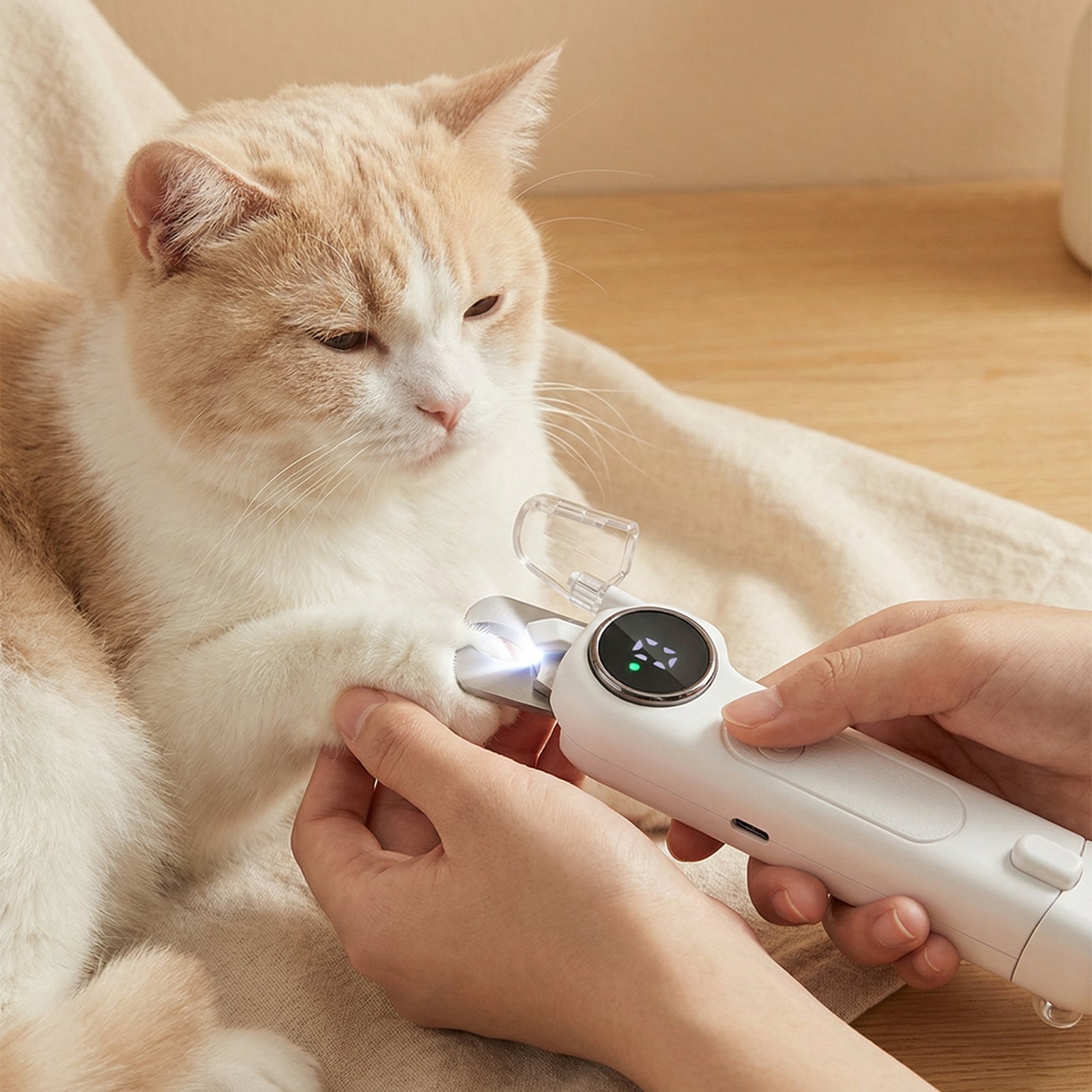 Your Daily Ritual, Backed by