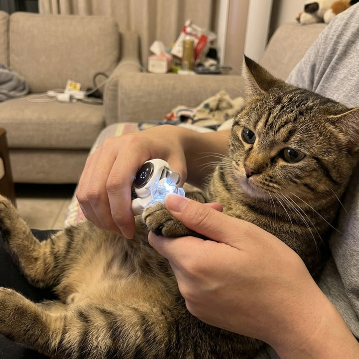 Review by Carlos Hernández