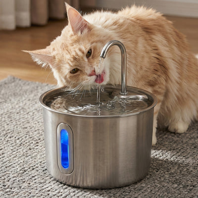Dispensador de agua para gatos