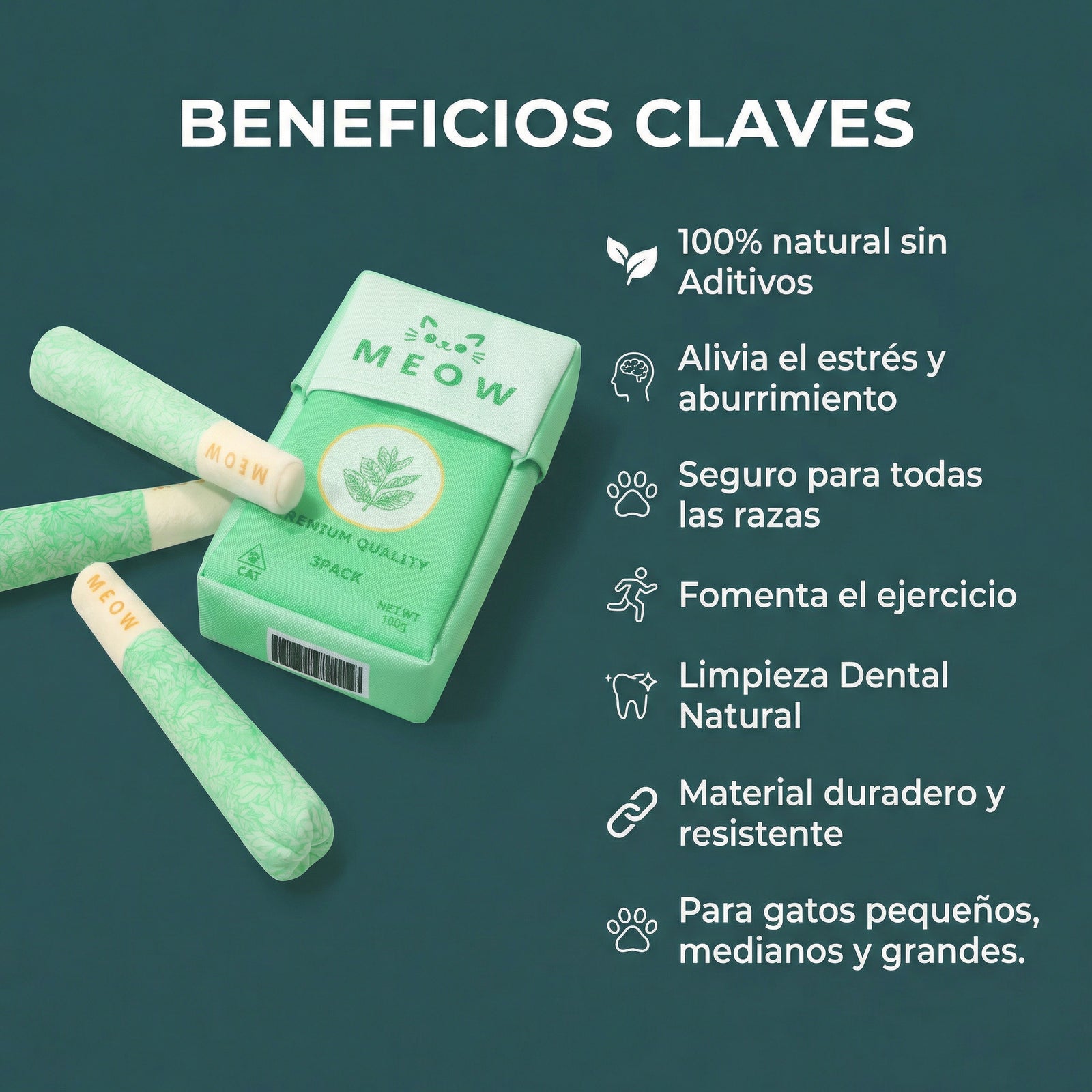 Your Daily Ritual, Backed by