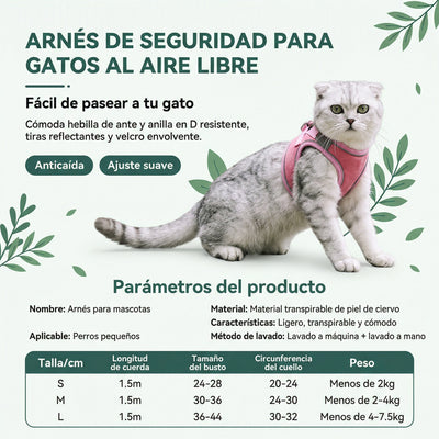 Correa Gatos Felino