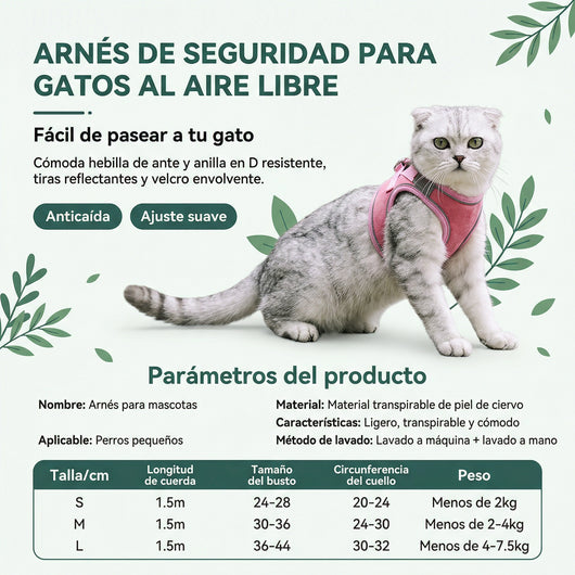 Correa Gatos Felino