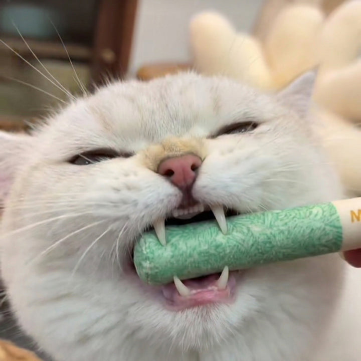 Review by Patricia López