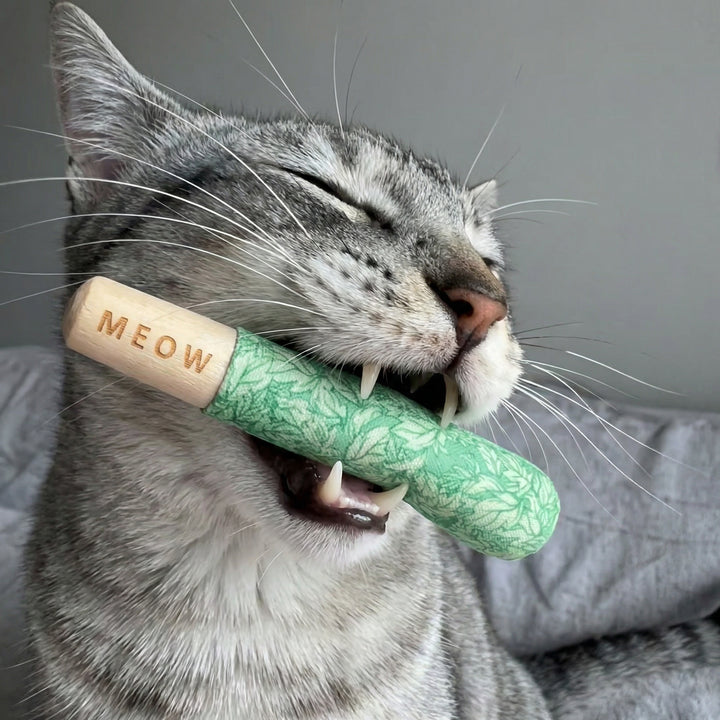 Review by Miguel Ángel Torres