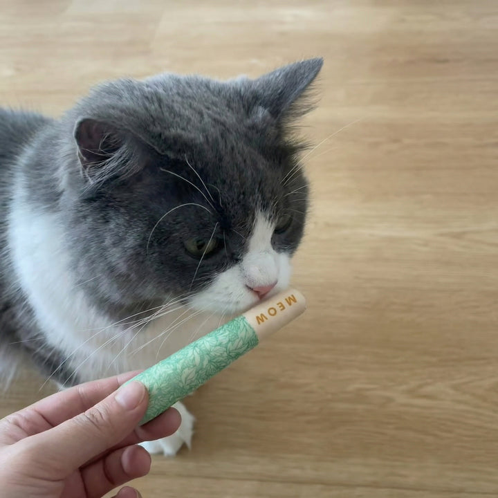 Review by Roberto Martínez