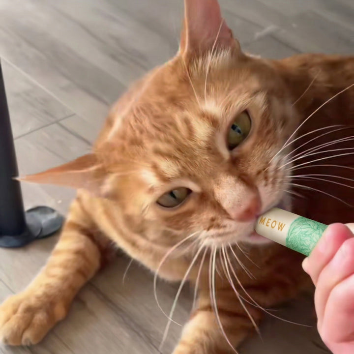 Review by María González